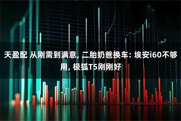 天盈配 从刚需到满意, 二胎奶爸换车: 埃安i60不够用, 极狐T5刚刚好